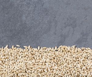 Mozga kanaryjska - właściwości, zastosowanie, gdzie kupić i jak jeść? Przepis