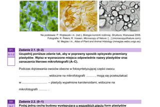 Matura 2025 - biologia