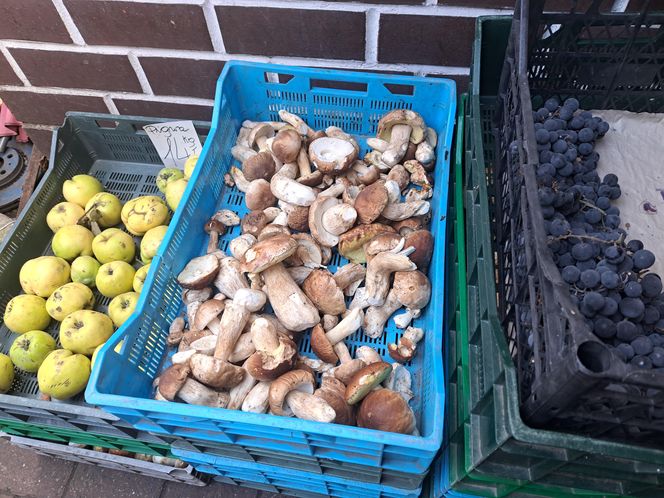 Ceny grzybów na Nowym i Starym Kleparzu w Krakowie
