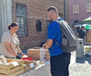 Stare Miasto w Olsztynie tętniło życiem. Zobacz, co działo się w weekend!