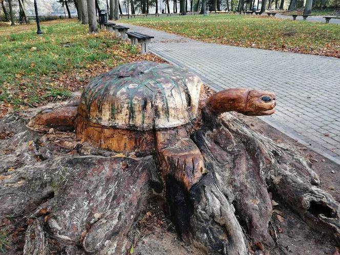 Rzeźba żółwia w Trzcińsku-Zdroju