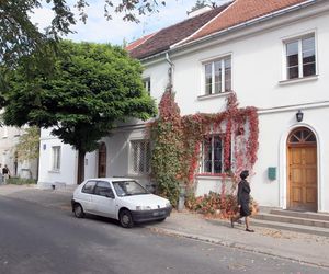 Lublin uczcił 190. urodziny Henryka Wieniawskiego