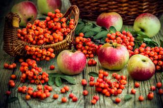 Jarzębina – owoc jesieni. ZDJĘCIA kompozycji z jarzębiną