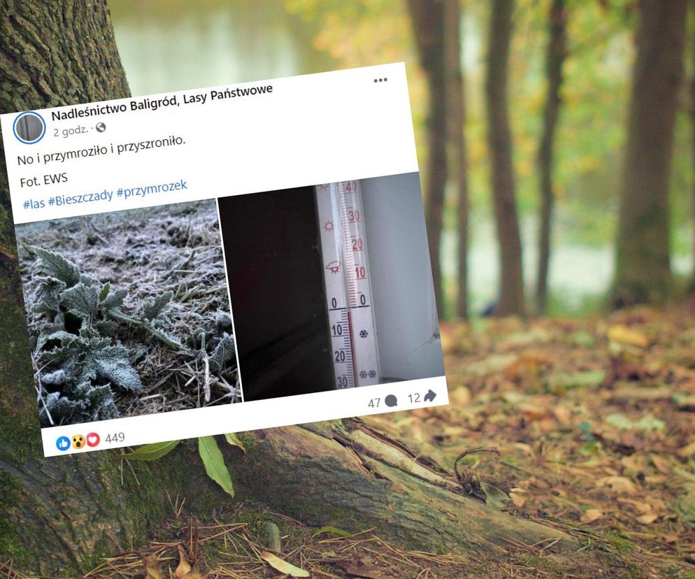  Leśnicy pokazali wymowne zdjęcia z Bieszczadów. To oznacza jedno! 