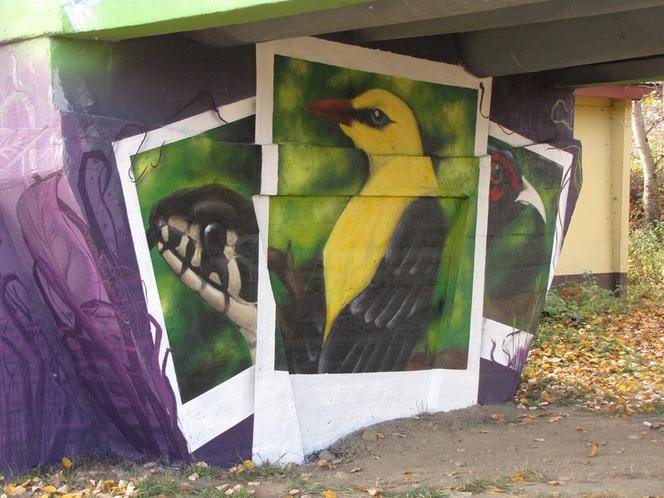W rejonie Lisiej Góry w Rzeszowie powstał nowy mural. Jest piękny!