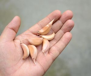 Czosnek w nosie na katar. Wyjaśniamy, czy faktycznie działa