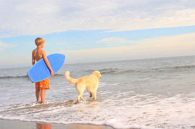Co zrobić z psem podczas urlopu?