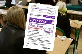 Matura próbna 2025 z polskiego. Nie byłam gotowa na matematykę. Odpowiedzi PDF + arkusze CKE do ściągnięcia RELACJA NA ŻYWO 9 grudnia 2024