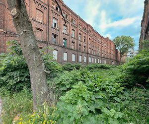 Zabytkowe famuły Izraela Poznańskiego w Łodzi 