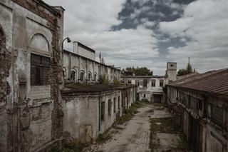 Zabytki ocalone przez Grupę Arche