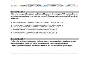 Biologia arkusze MATURA 2024 rozszerzenie FORMUŁA 2015