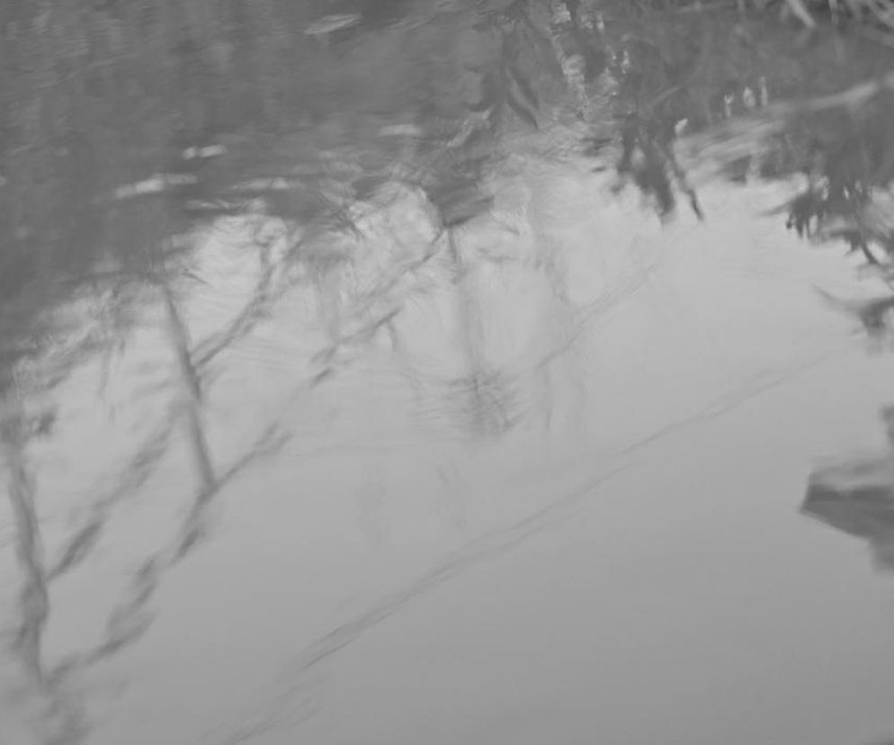 Koszmar pod Toruniem. Kobieta poślizgnęła się i wpadła do lodowatej rzeki. Tragiczny finał