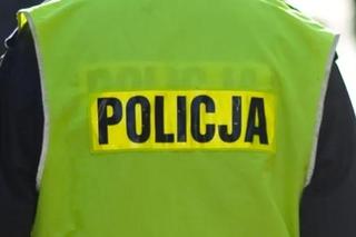 Zatrzymani za bestialskie zamordowanie lisa pod Toruniem