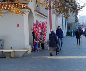 Święto Niepodległości w Lublinie. Setki mieszkańców świętowało na Placu Litewskim