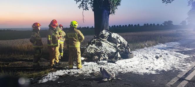 Auto uderzyło w drzewo i stanęło w płomieniach! Kierowca nie miał szans 