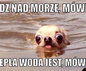 Najlepsze memy o wakacjach nad polskim morzem