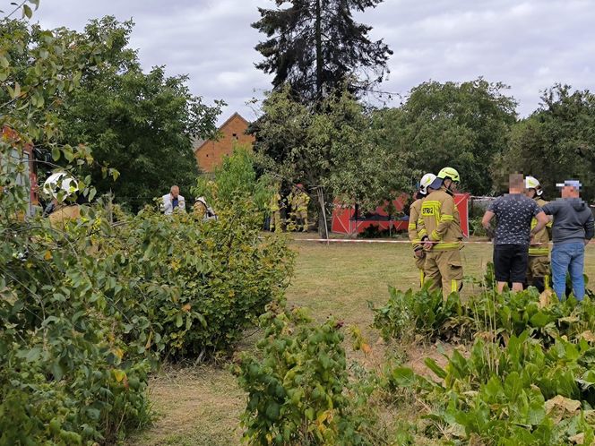 Awionetka spadła na ziemię w Wielkopolsce. Dwie osoby nie żyją
