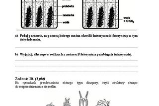 Matura 2013 biologia p. rozszerzony