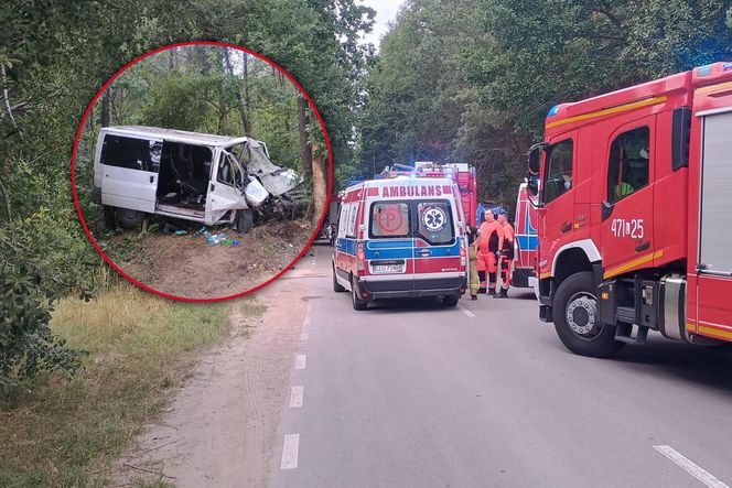Bus rozbił się na drzewie. Wielu poszkodowanych, śmigłowiec LPR w akcji