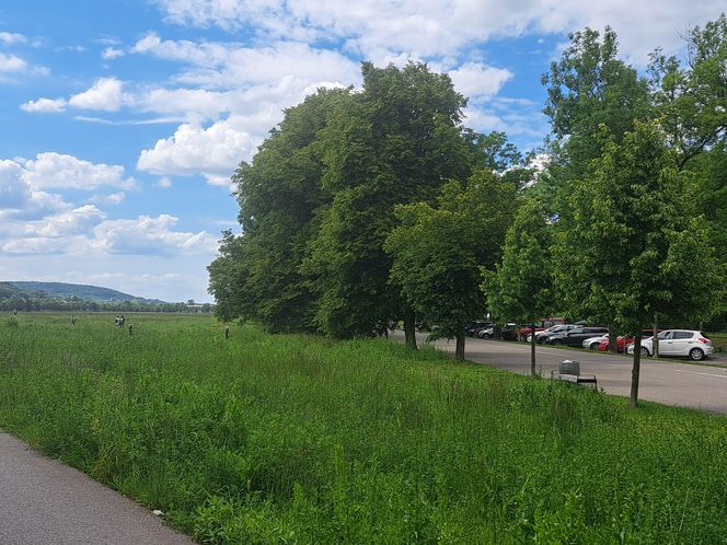 Błonia w Krakowie