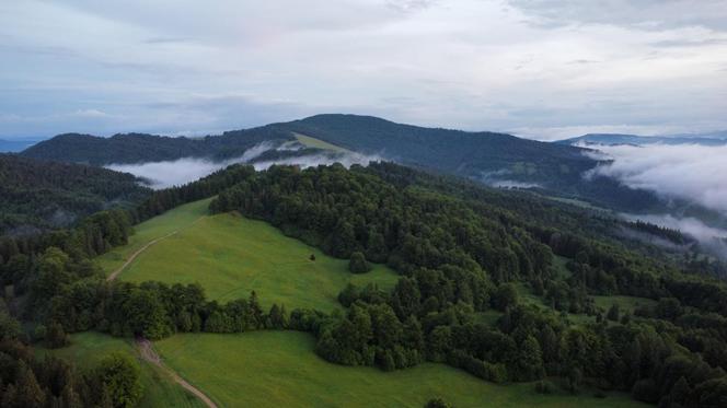 Bacówka Nad Wierchomlą w Beskidzie Sądeckim. To prawdziwy turystyczny hit!