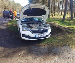 Zderzenie busa z osobówką koło Leszna. Kolizyjny wtorek w regionie