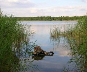 Jezioro