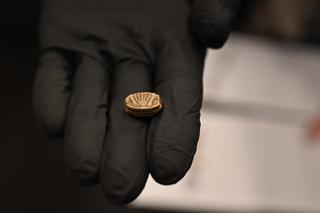 „Magia starożytnego Egiptu” już dziś w Lublinie! Zobacz zdjęcie z przygotowań do wystawy