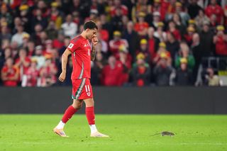 Courtois okiełznał szczura