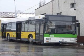 Na zielonogórski cmentarz częściej i szybciej. MZK uruchamia bezpłatne linie