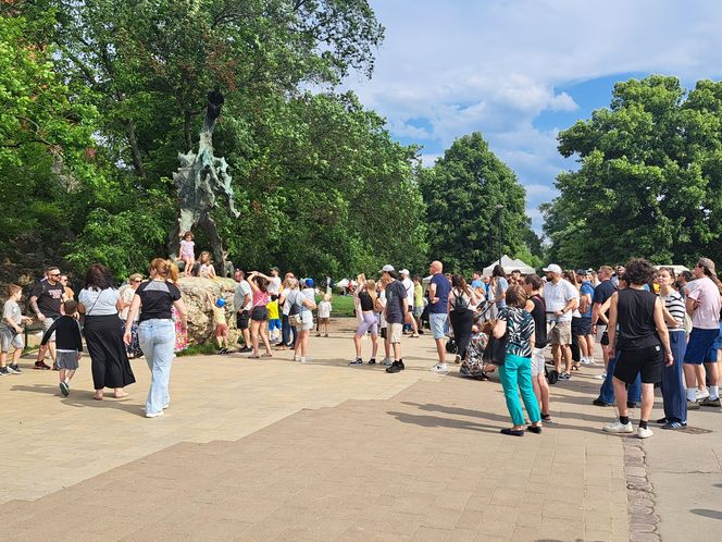 Smoczy Piknik Rodzinny 2025 w Krakowie