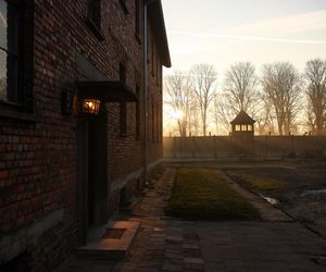 Obchody 80. rocznicy wyzwolenia Auschwitz