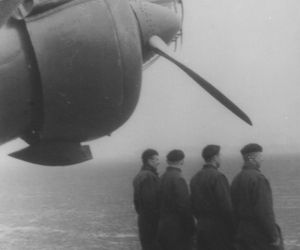 PZL-37 B „Łoś”