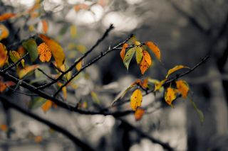 CHANDRA to sposób na lubelskie wieczory! Można je spędzić wspólnie w MOM