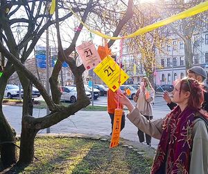 Na drzewach zakwitły... wiersze! Wiosenna akcja w centrum Szczecina