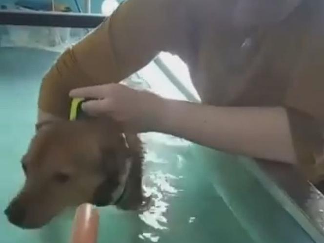 Ćwiczą dla parówki