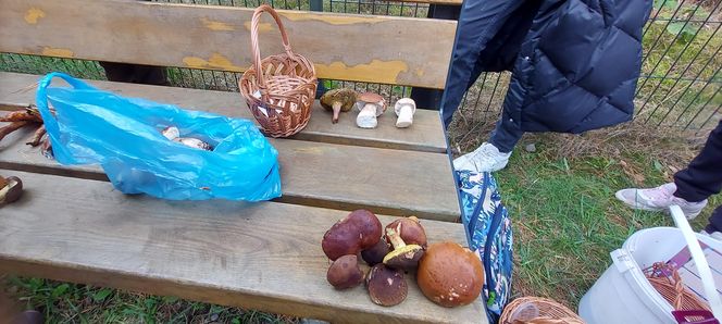 56. Rajd "Rydz na patelni"