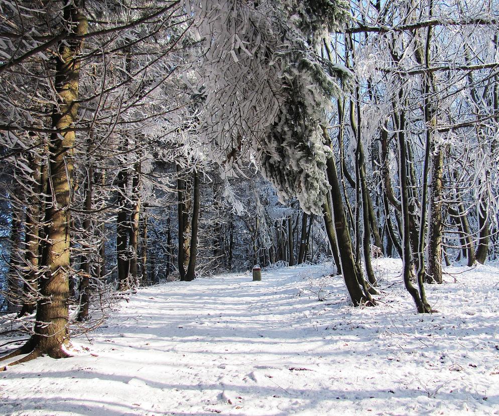Zima wróciła w Bieszczady, wrócili też turyści. Opady śniegu pomogły hotelarzom 