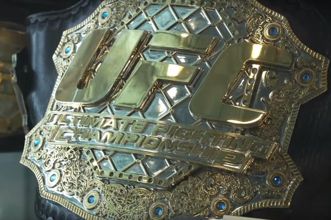 UFC 223