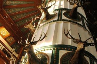 Pałac Myśliwski w Antoninie - zdjęcia