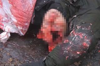 DRASTYCZNE! Rosyjskie BESTIE nie znają litości! Krew, [ZDJĘCIA i WIDEO +18]