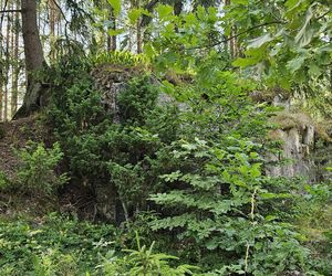 Odwiedziłam jeden z piękniejszych powiatów na Mazurach. To prawdziwy „szlak bunkrowy”