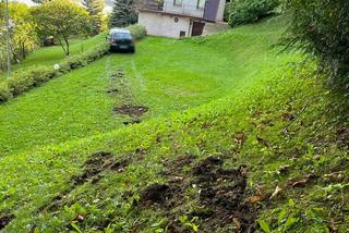 Samochód osobowy wypadł z drogi, wylądował w kwietnikach, a kierowca... Poszedł do domu