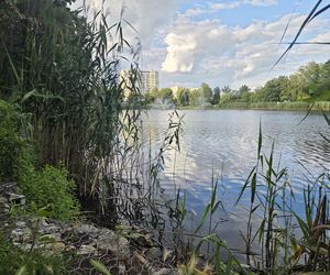 Zielona perła Bartodziejów. Odkryj uroki bydgoskiego Balatonu 