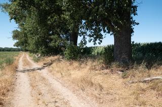 W samochodzie porywaczy była 7-latka