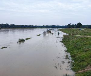 Fala powodziowa we Wrocławiu. Pod wodą są już beach bary i drogi 