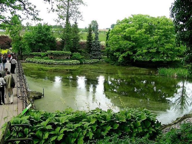 Arboretum Wojsławice - zdjęcia. Kiedy jechać?