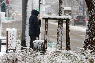Donald Tusk na sankach z wnuczkami