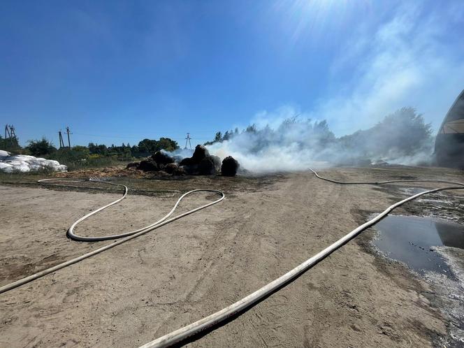 Pożar pod Krosnem Odrzańskim w Lubuskiem