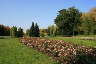 Park Śląsk
